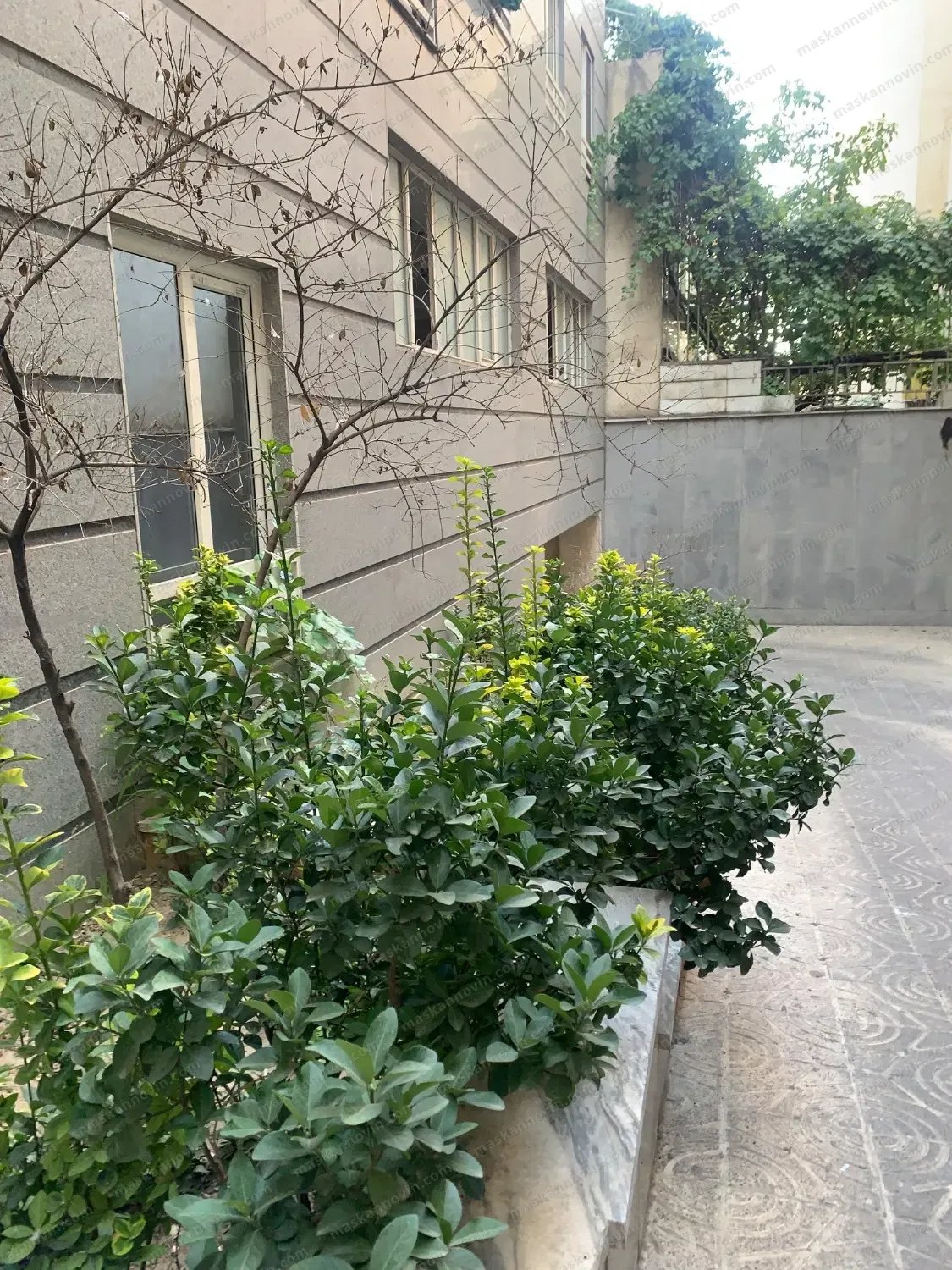 164 متری سیمرغ 9(121 متر قدرالسهم)